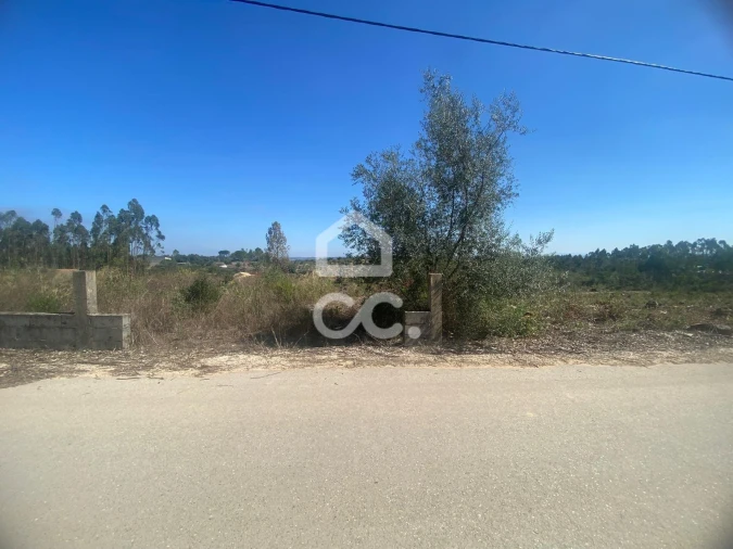Terreno para Venda em Santa Catarina da Serra e Chainça Foto 20