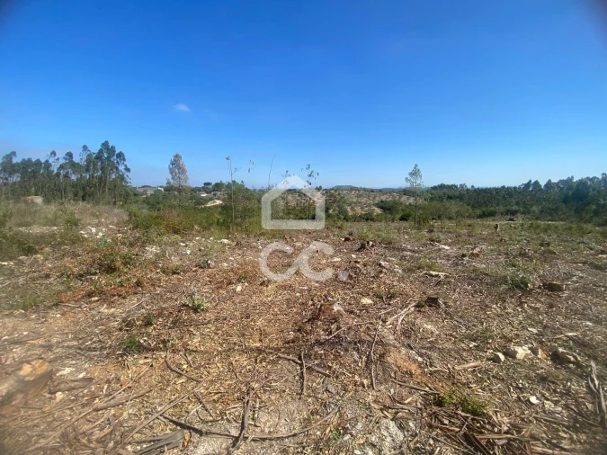 Terreno para Venda em Santa Catarina da Serra e Chainça Foto 19