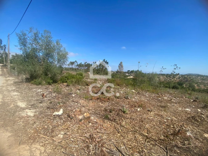 Terreno para Venda em Santa Catarina da Serra e Chainça Foto 18