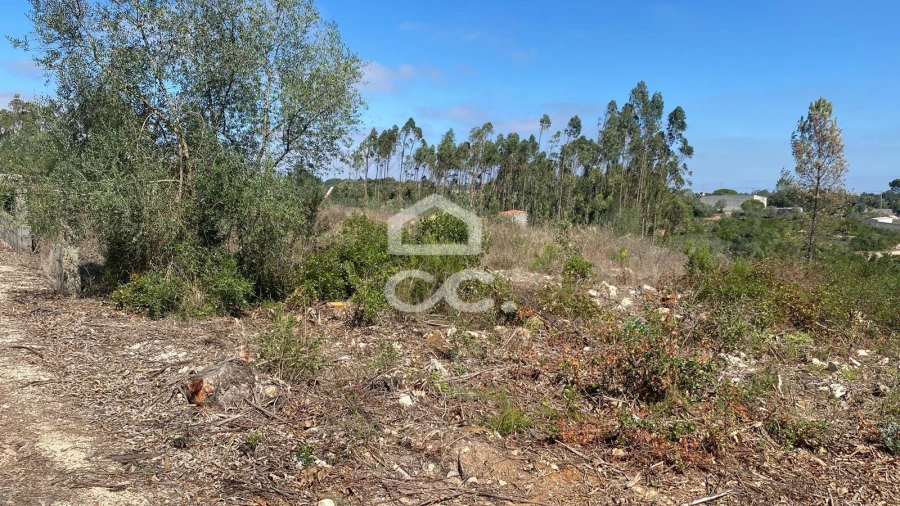 Terreno para Venda em Santa Catarina da Serra e Chainça Foto 17