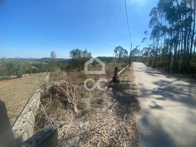 Terreno para Venda em Santa Catarina da Serra e Chainça Foto 14