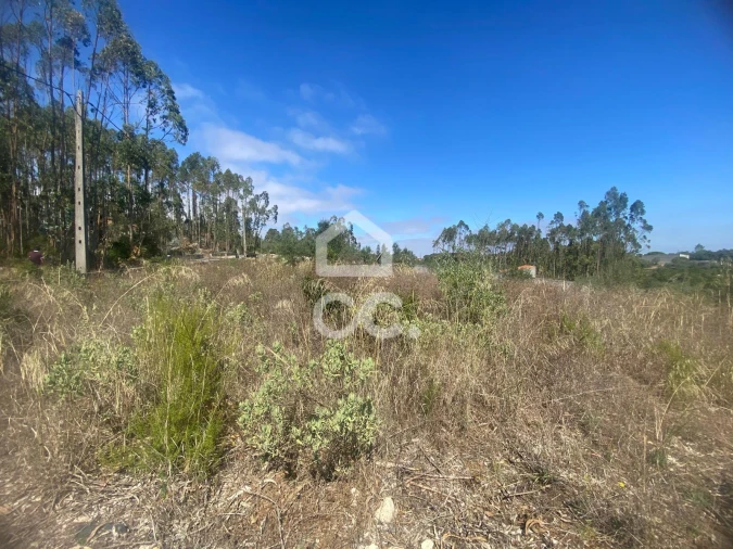 Terreno para Venda em Santa Catarina da Serra e Chainça Foto 6