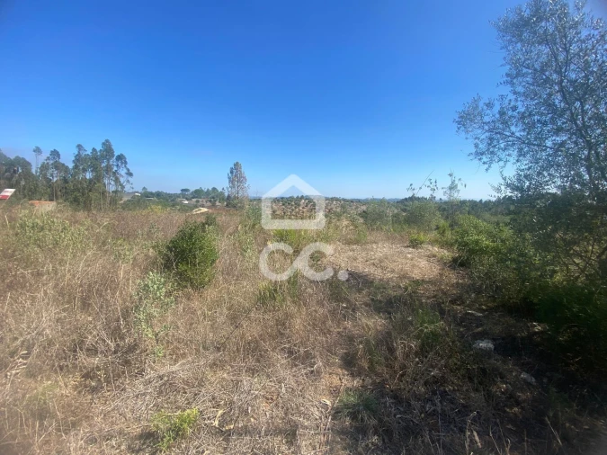 Terreno para Venda em Santa Catarina da Serra e Chainça Foto 8