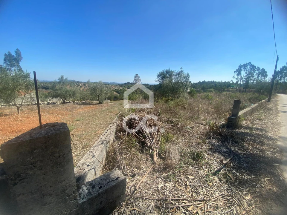 Terreno para Venda em Santa Catarina da Serra e Chainça Foto 15