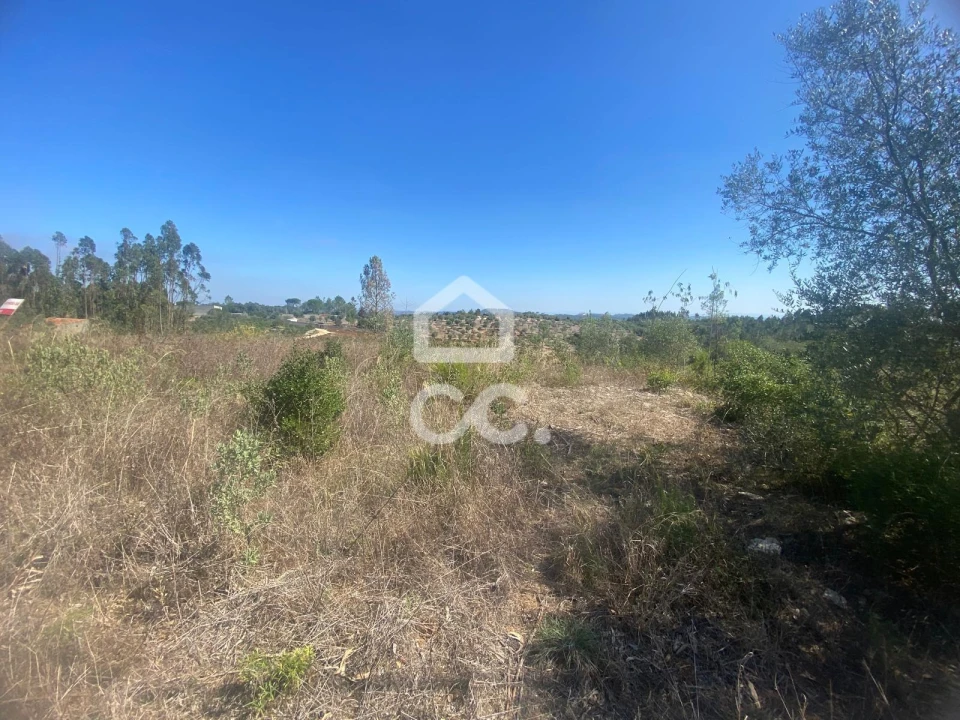 Terreno para Venda em Santa Catarina da Serra e Chainça Foto 8