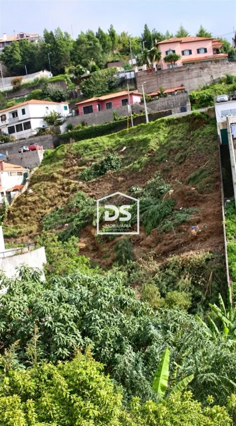 Terreno Agricola ou Rústico para Venda em Monte
