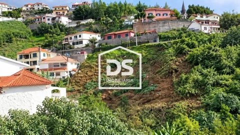 Terreno Agricola ou Rústico para Venda em Monte