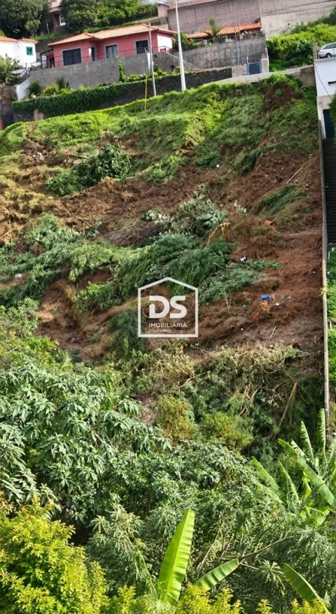 Terreno Agricola ou Rústico para Venda em Monte