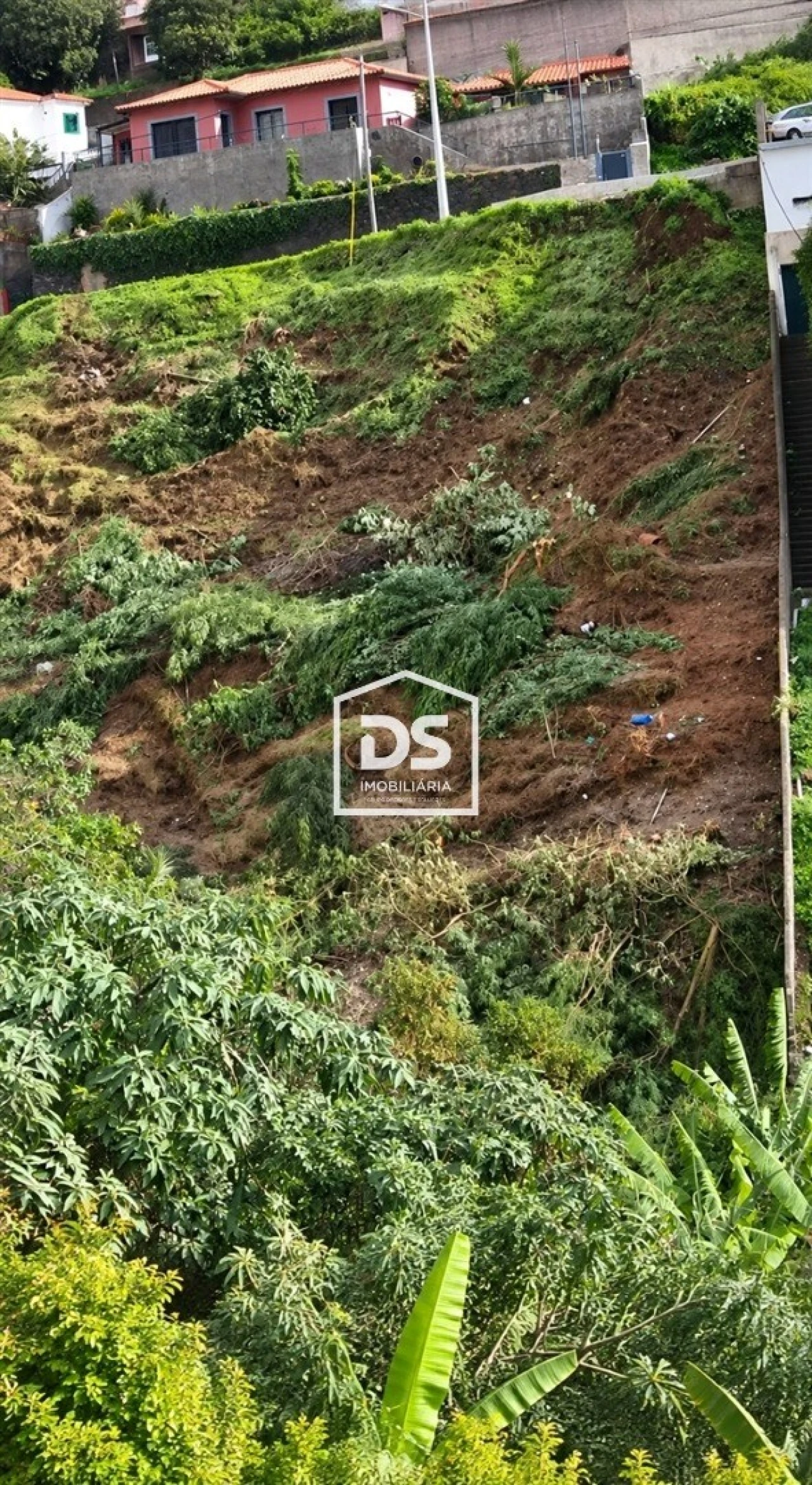 Terreno Agricola ou Rústico para Venda em Monte Foto 1