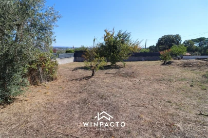 Terreno para Venda em Cabanas de Viriato