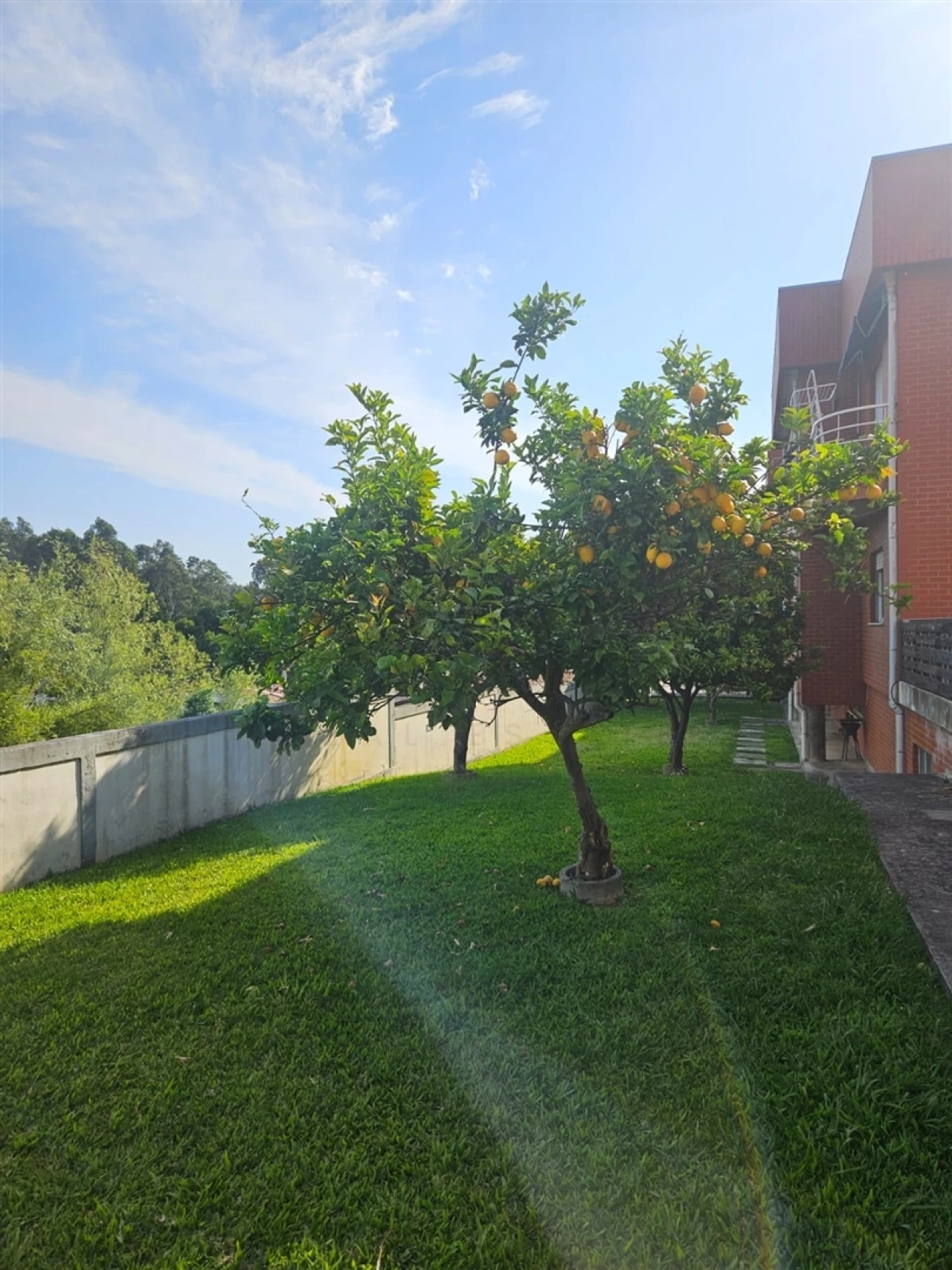Apartamento T3 para Venda em Grijó e Sermonde Foto 5