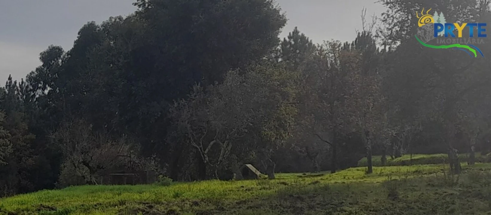 Terreno para Venda em Sertã Foto 4