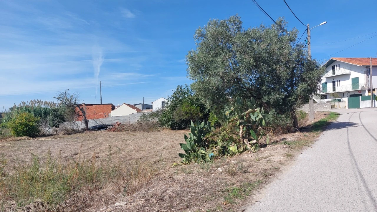 Terreno para Venda em Souto da Carpalhosa e Ortigosa Foto 4