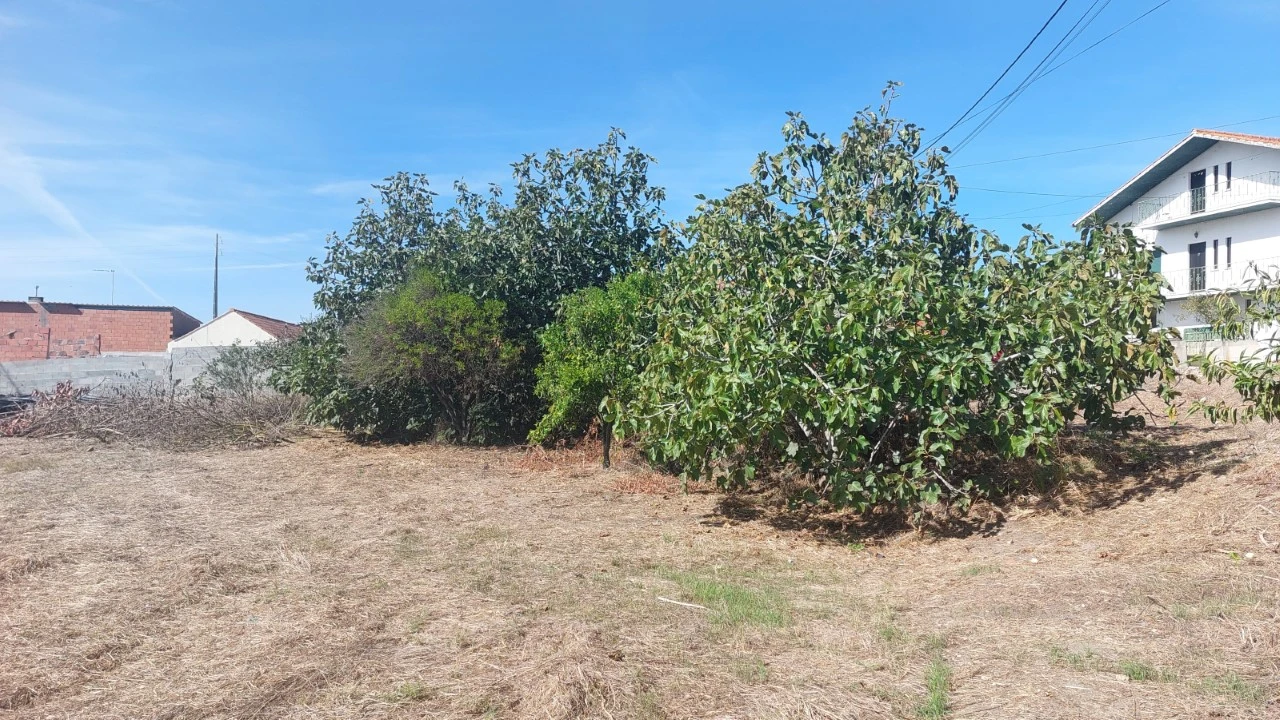 Terreno para Venda em Souto da Carpalhosa e Ortigosa Foto 14