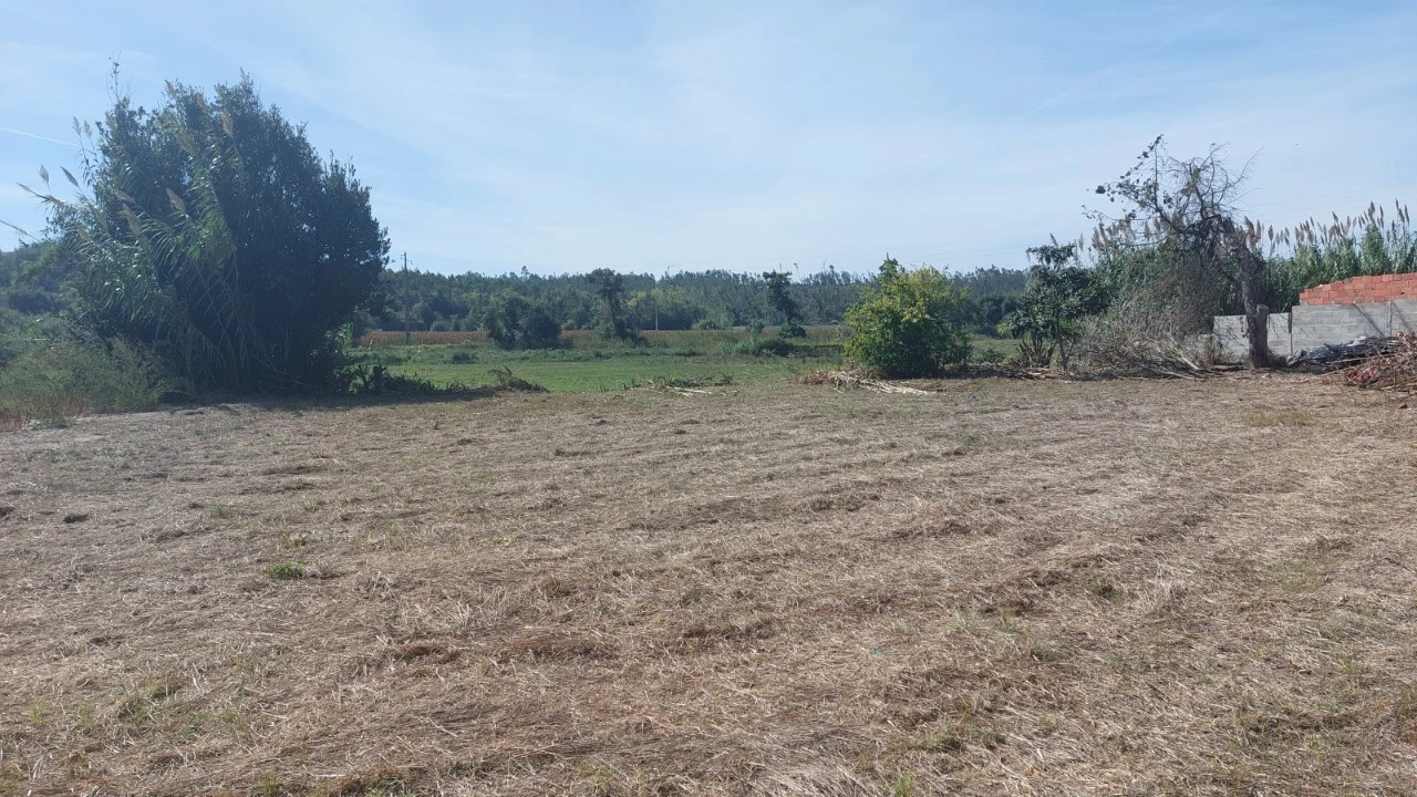 Terreno para Venda em Souto da Carpalhosa e Ortigosa Foto 15