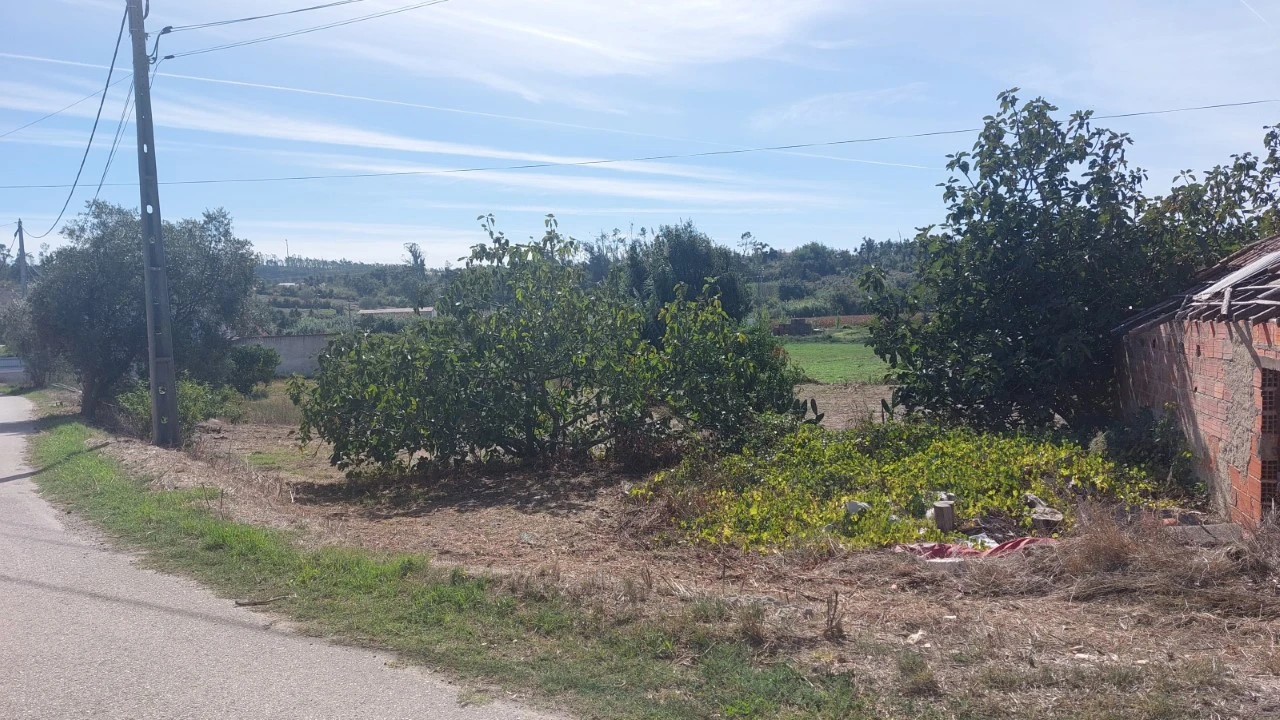 Terreno para Venda em Souto da Carpalhosa e Ortigosa Foto 18