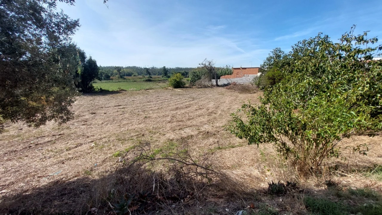 Terreno para Venda em Souto da Carpalhosa e Ortigosa Foto 22
