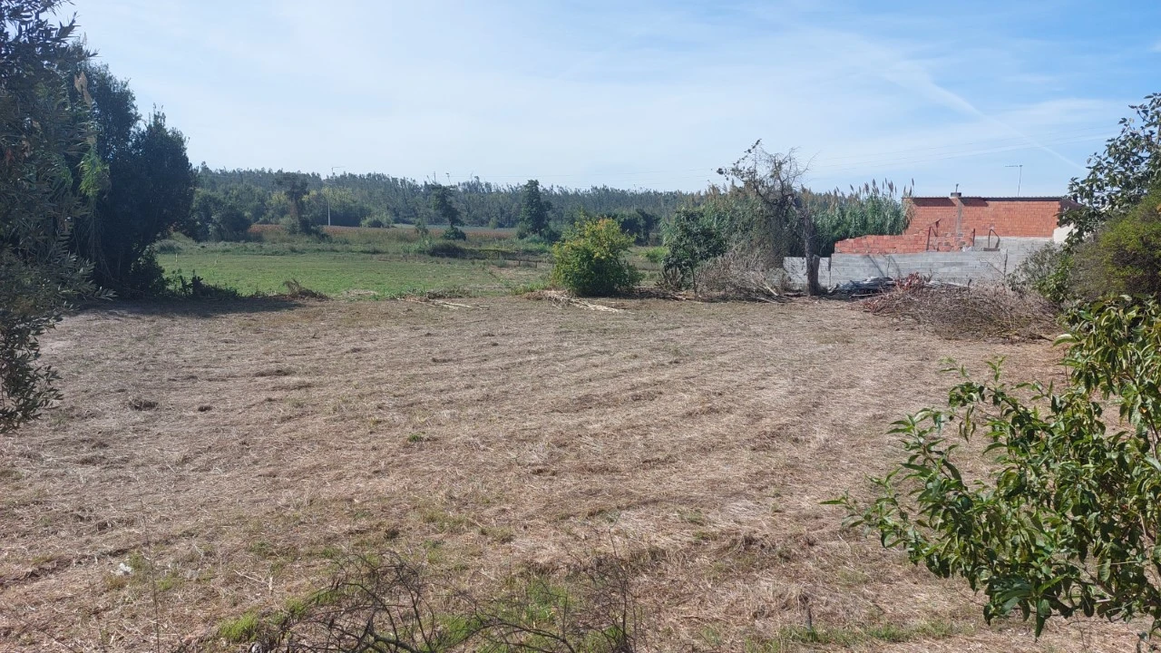 Terreno para Venda em Souto da Carpalhosa e Ortigosa Foto 17
