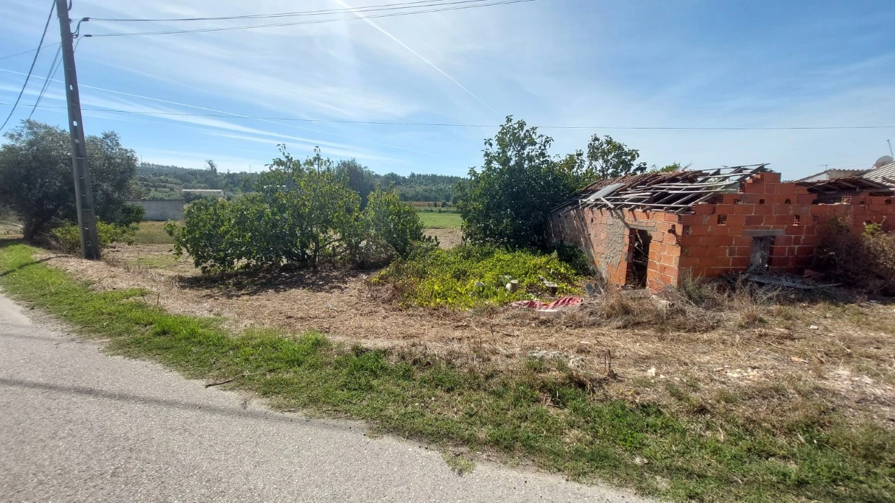 Terreno para Venda em Souto da Carpalhosa e Ortigosa Foto 19