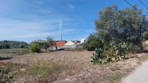 Terreno para Venda em Souto da Carpalhosa e Ortigosa