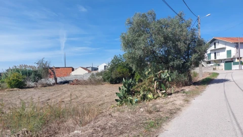 Terreno para Venda em Souto da Carpalhosa e Ortigosa