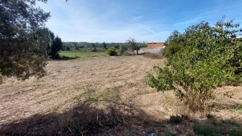 Terreno para Venda em Souto da Carpalhosa e Ortigosa