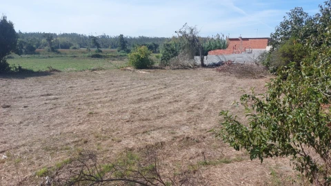 Terreno para Venda em Souto da Carpalhosa e Ortigosa