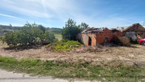 Terreno para Venda em Souto da Carpalhosa e Ortigosa
