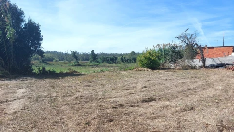 Terreno para Venda em Souto da Carpalhosa e Ortigosa