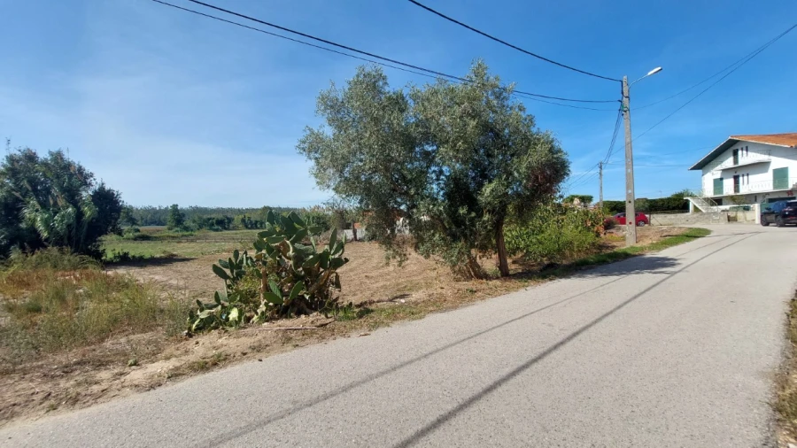 Terreno para Venda em Souto da Carpalhosa e Ortigosa Foto 5