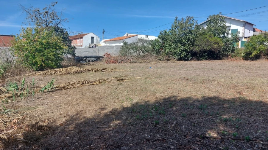 Terreno para Venda em Souto da Carpalhosa e Ortigosa Foto 10