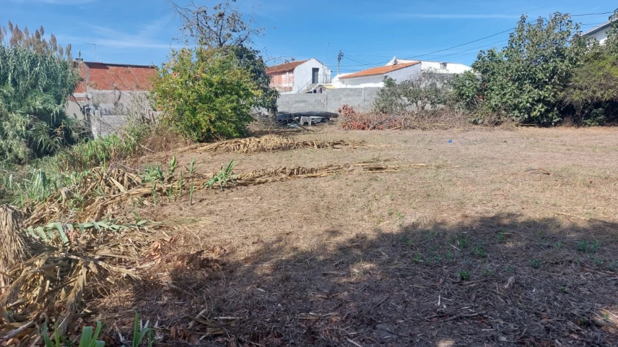 Terreno para Venda em Souto da Carpalhosa e Ortigosa Foto 11