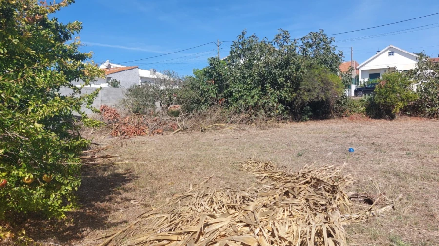 Terreno para Venda em Souto da Carpalhosa e Ortigosa Foto 12