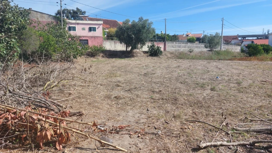 Terreno para Venda em Souto da Carpalhosa e Ortigosa Foto 13