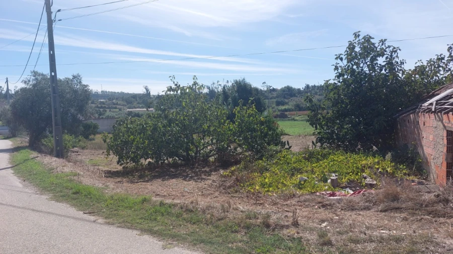 Terreno para Venda em Souto da Carpalhosa e Ortigosa Foto 18