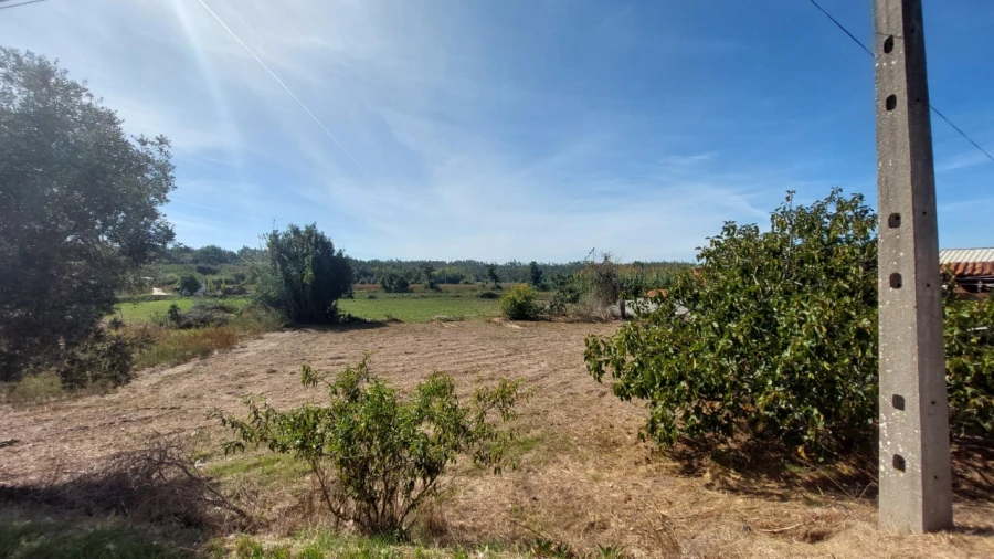 Terreno para Venda em Souto da Carpalhosa e Ortigosa Foto 21