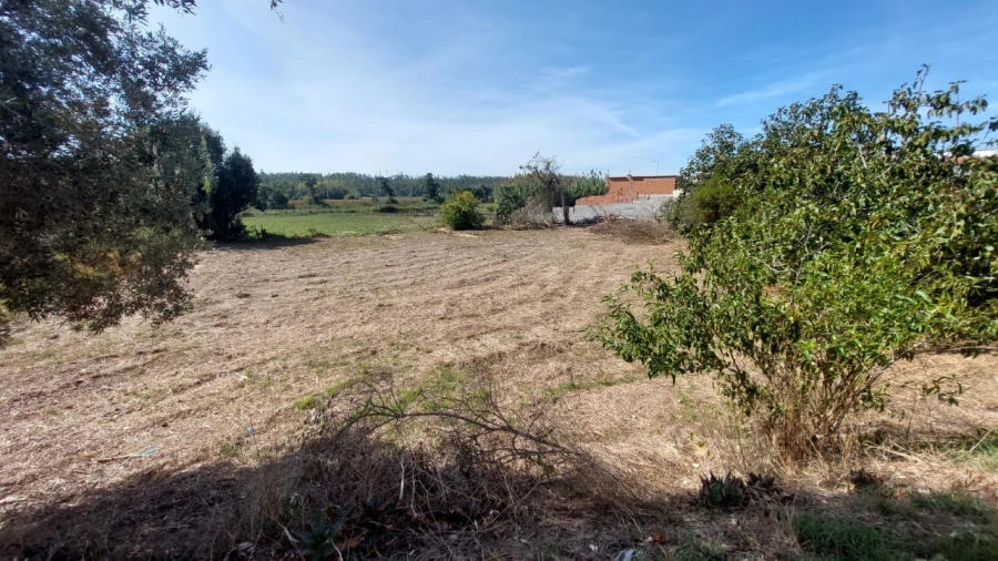 Terreno para Venda em Souto da Carpalhosa e Ortigosa Foto 22