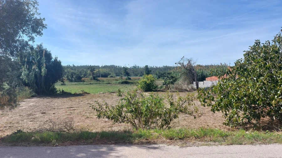 Terreno para Venda em Souto da Carpalhosa e Ortigosa