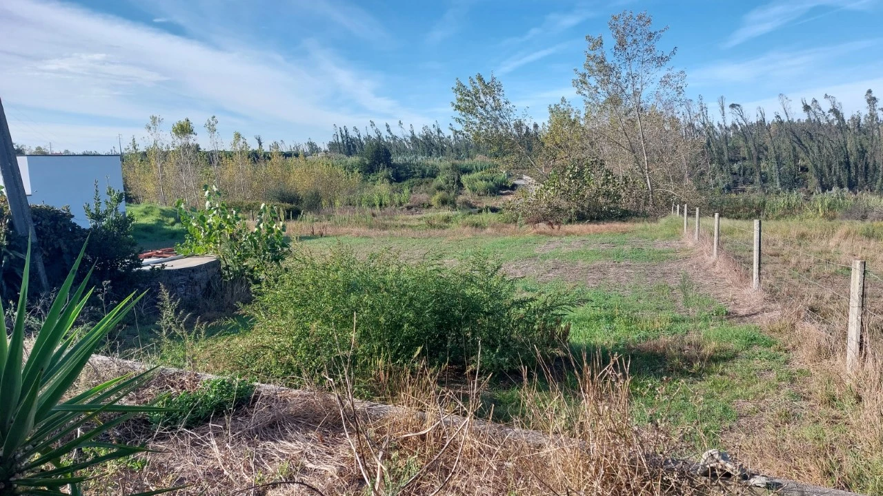 Terreno para Venda em Monte Real e Carvide Foto 1