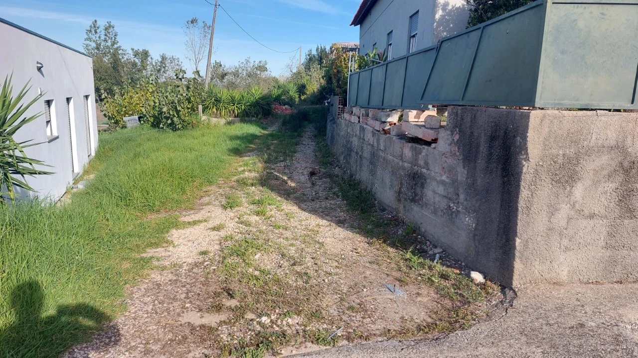 Terreno para Venda em Monte Real e Carvide Foto 4