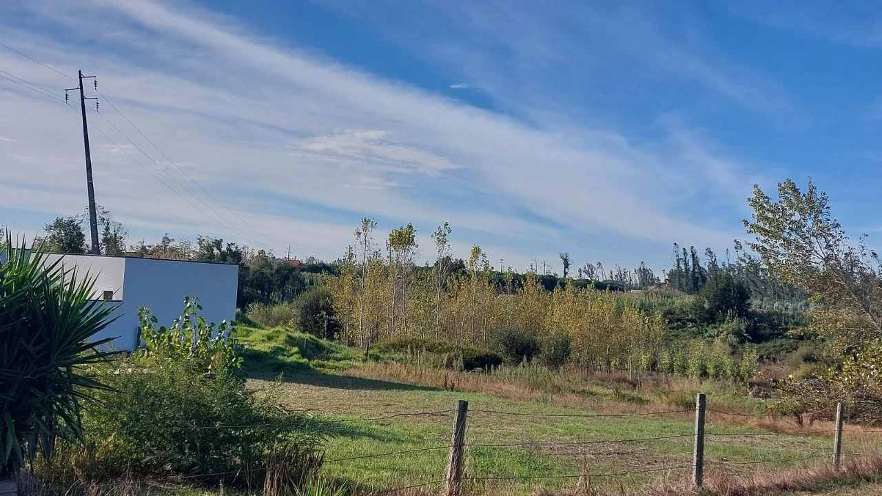 Terreno para Venda em Monte Real e Carvide Foto 2