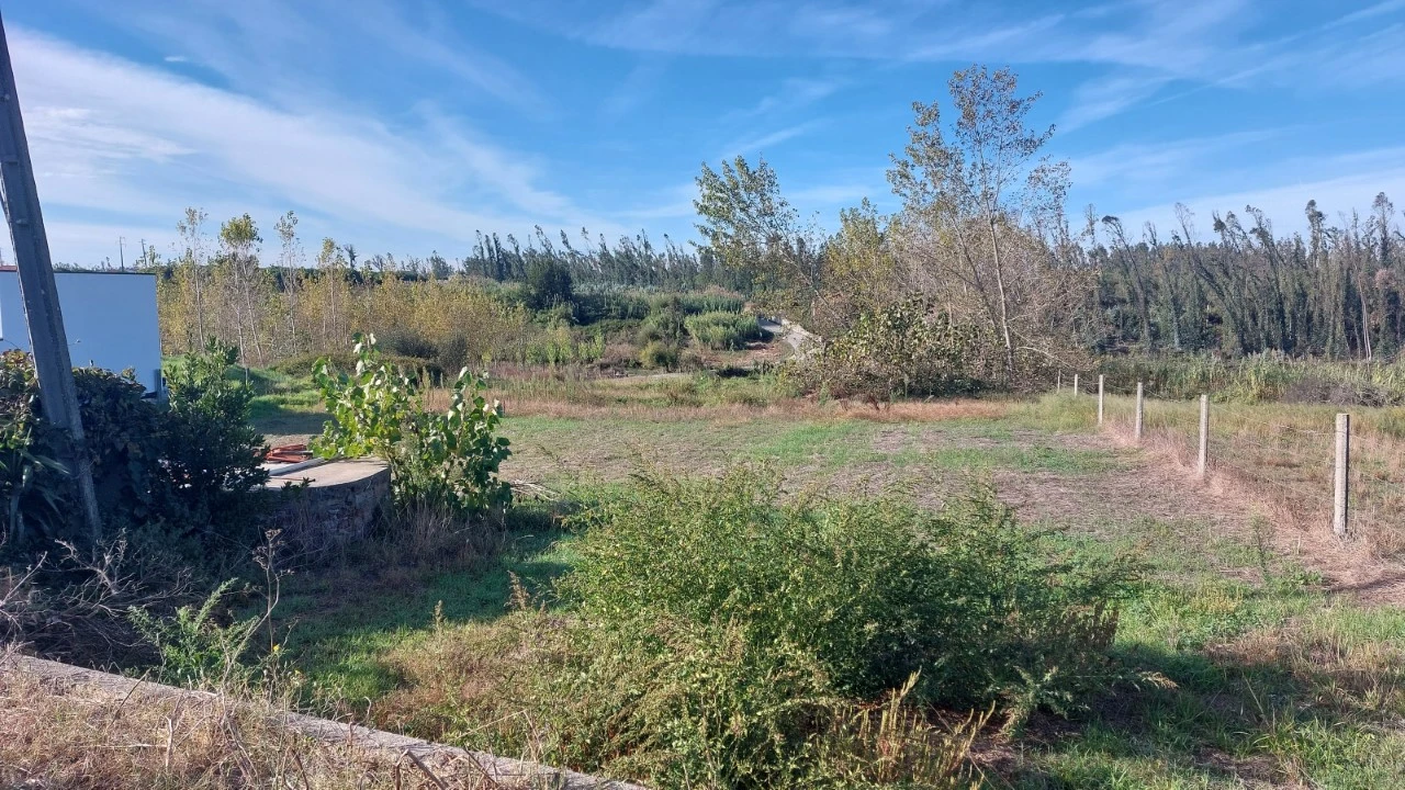 Terreno para Venda em Monte Real e Carvide Foto 6