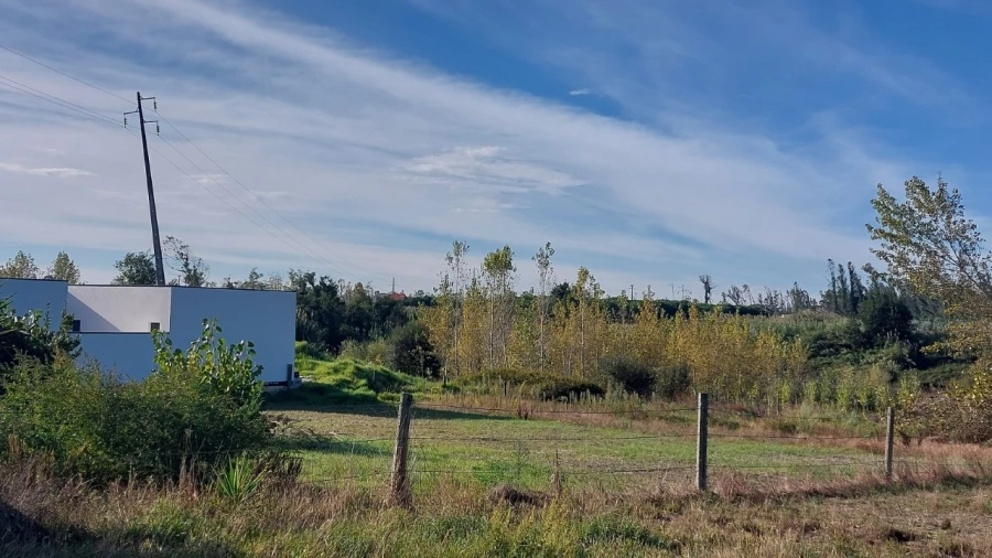 Terreno para Venda em Monte Real e Carvide Foto 3
