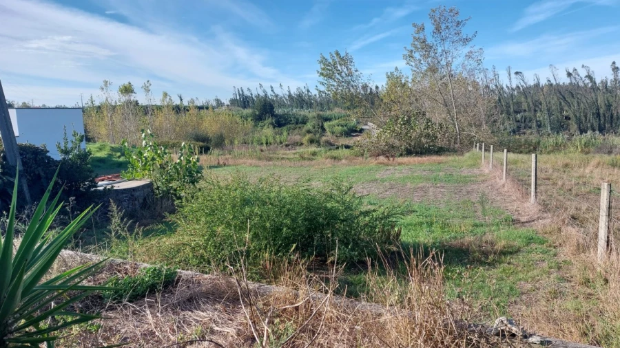 Terreno para Venda em Monte Real e Carvide