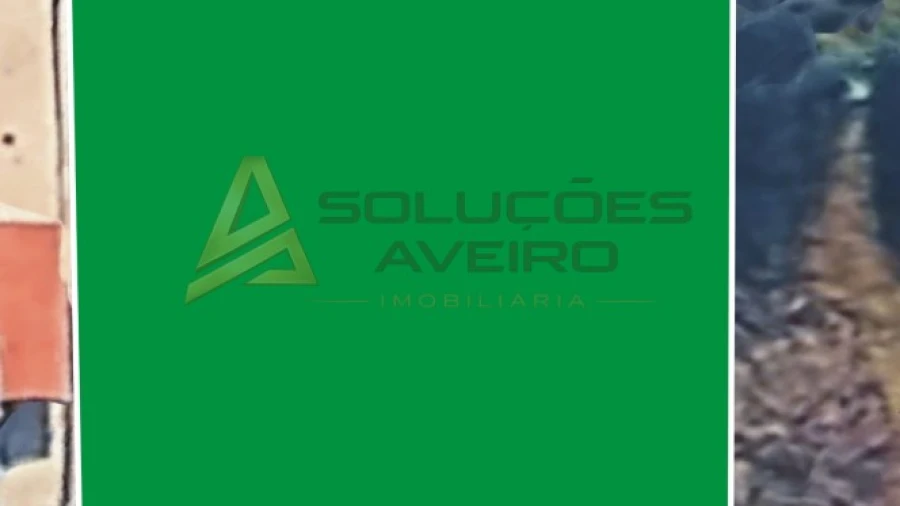 Terreno para Venda em Fermentelos