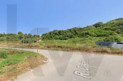 Terreno para Venda em Almoster