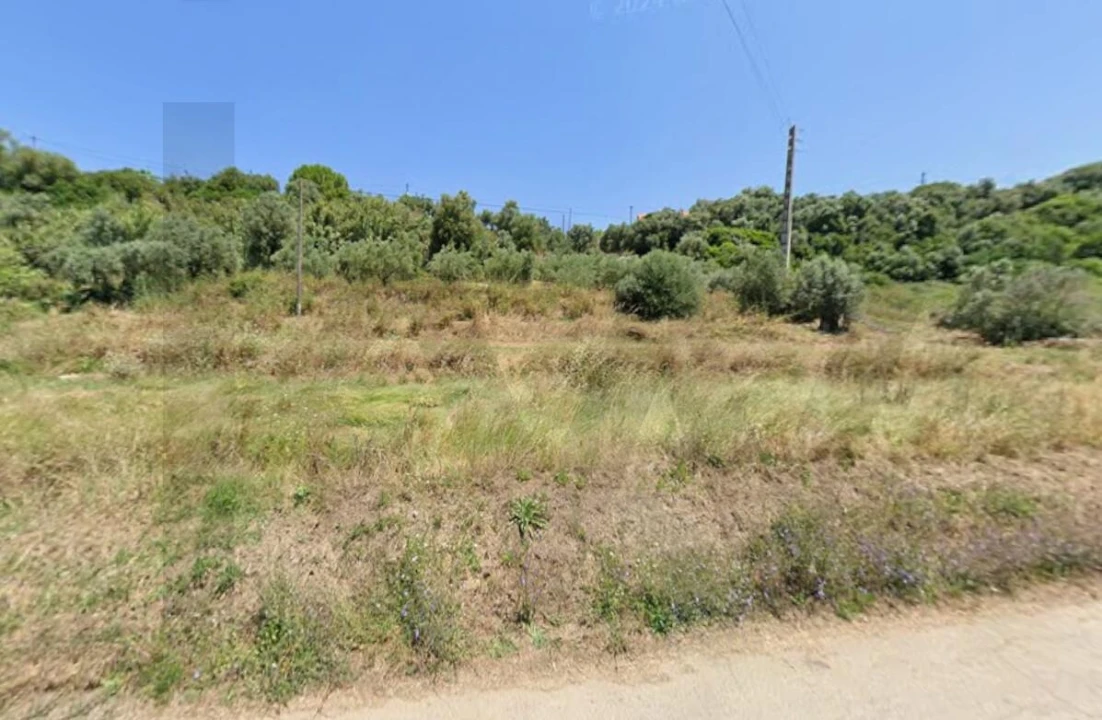 Terreno para Venda em Almoster Foto 3