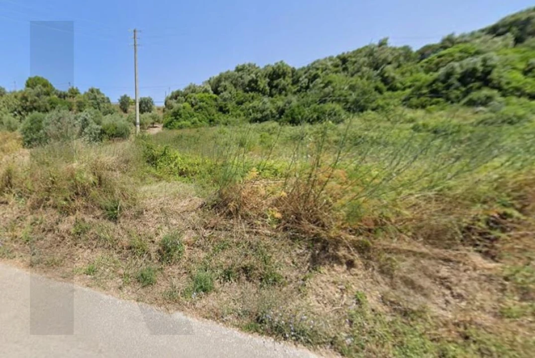 Terreno para Venda em Almoster Foto 4