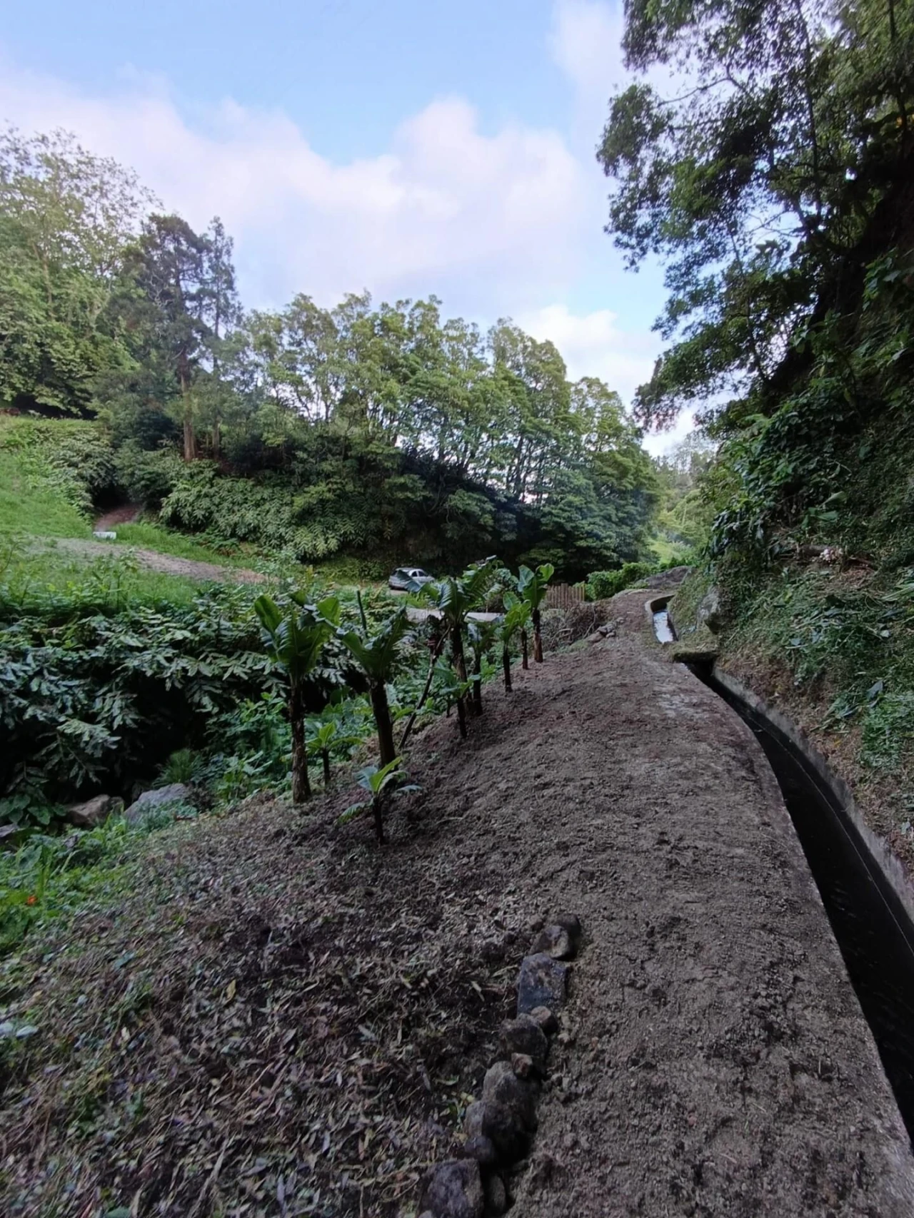 Terreno para Venda em Povoação Foto 11