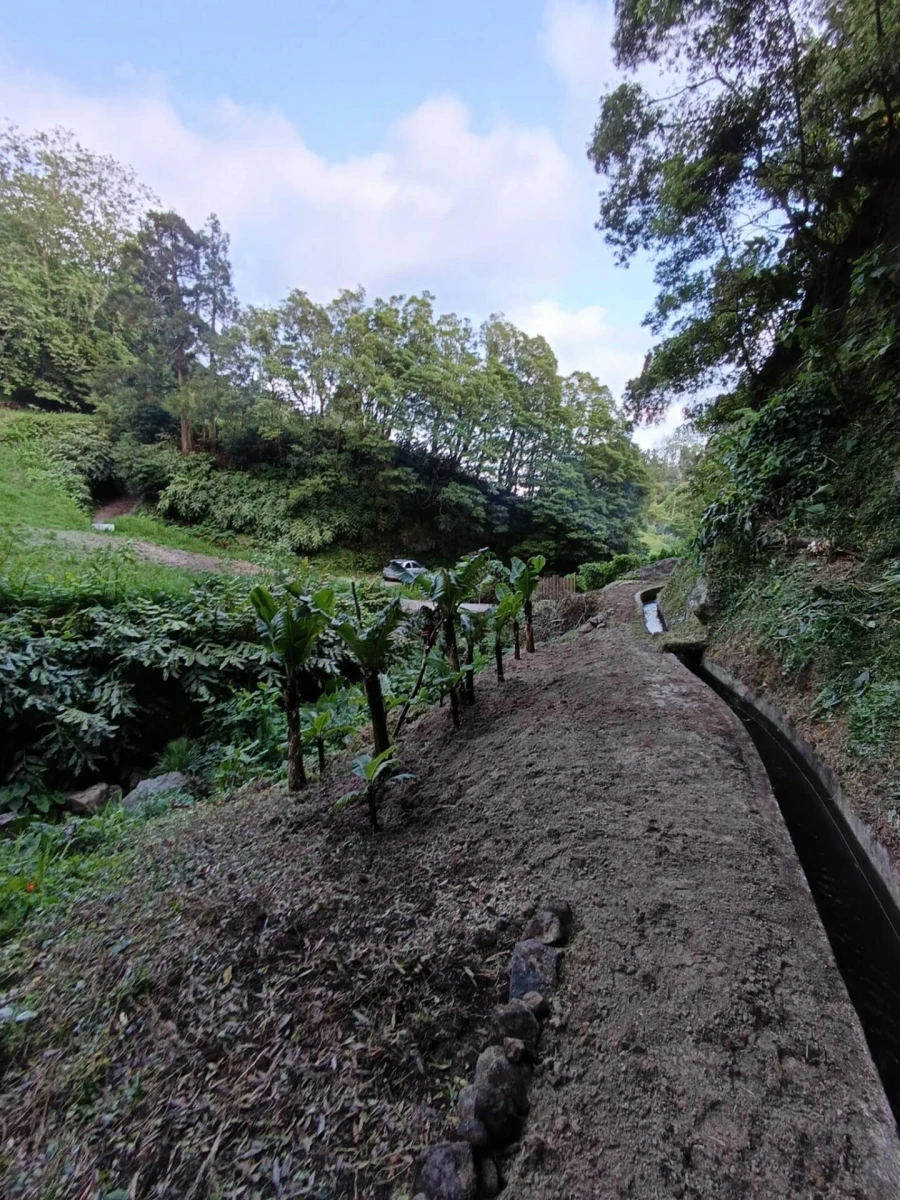 Terreno para Venda em Povoação Foto 11